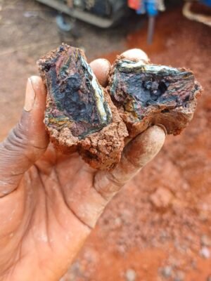 WhatsApp Image 2025-07-15 at 11.47.04 (1)