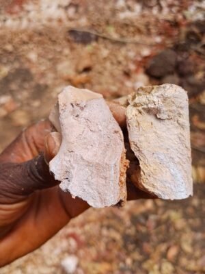 WhatsApp Image 2025-07-15 at 11.47.04