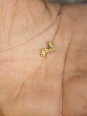 WhatsApp Image 2025-07-15 at 11.47.05