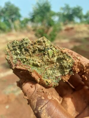 WhatsApp Image 2025-07-15 at 11.47.06