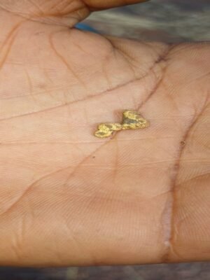 WhatsApp Image 2025-07-29 at 10. (1)