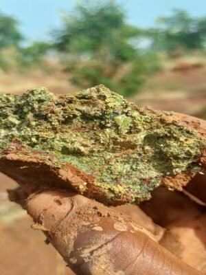 WhatsApp Image 2025-07-29 at 10. (3)