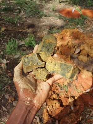 WhatsApp Image 2025-07-29 at 10.58.28